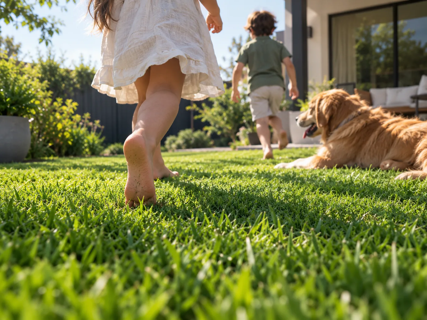 Niños y un perro jugando sobre pasto alfombra ya prendido