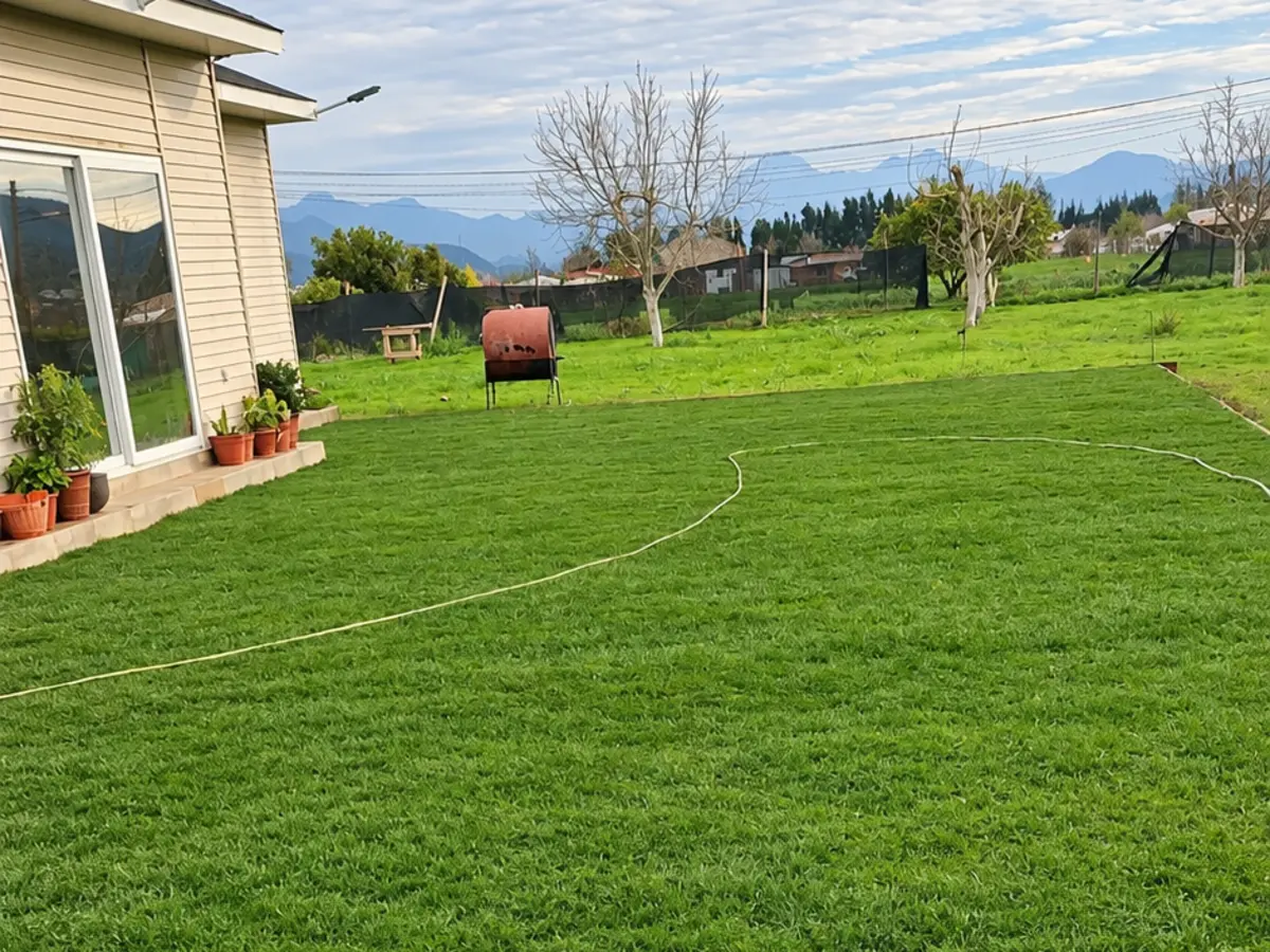 Patio terminado, visto desde la casa